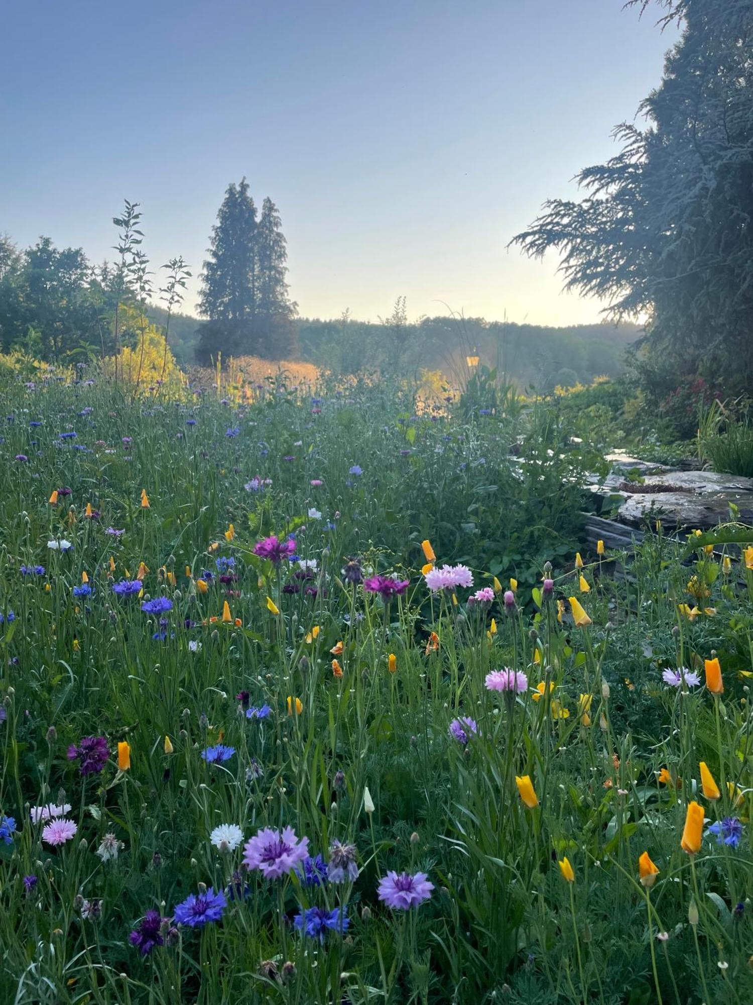 Вилла Domaine De L'Ardoisiere Але Экстерьер фото