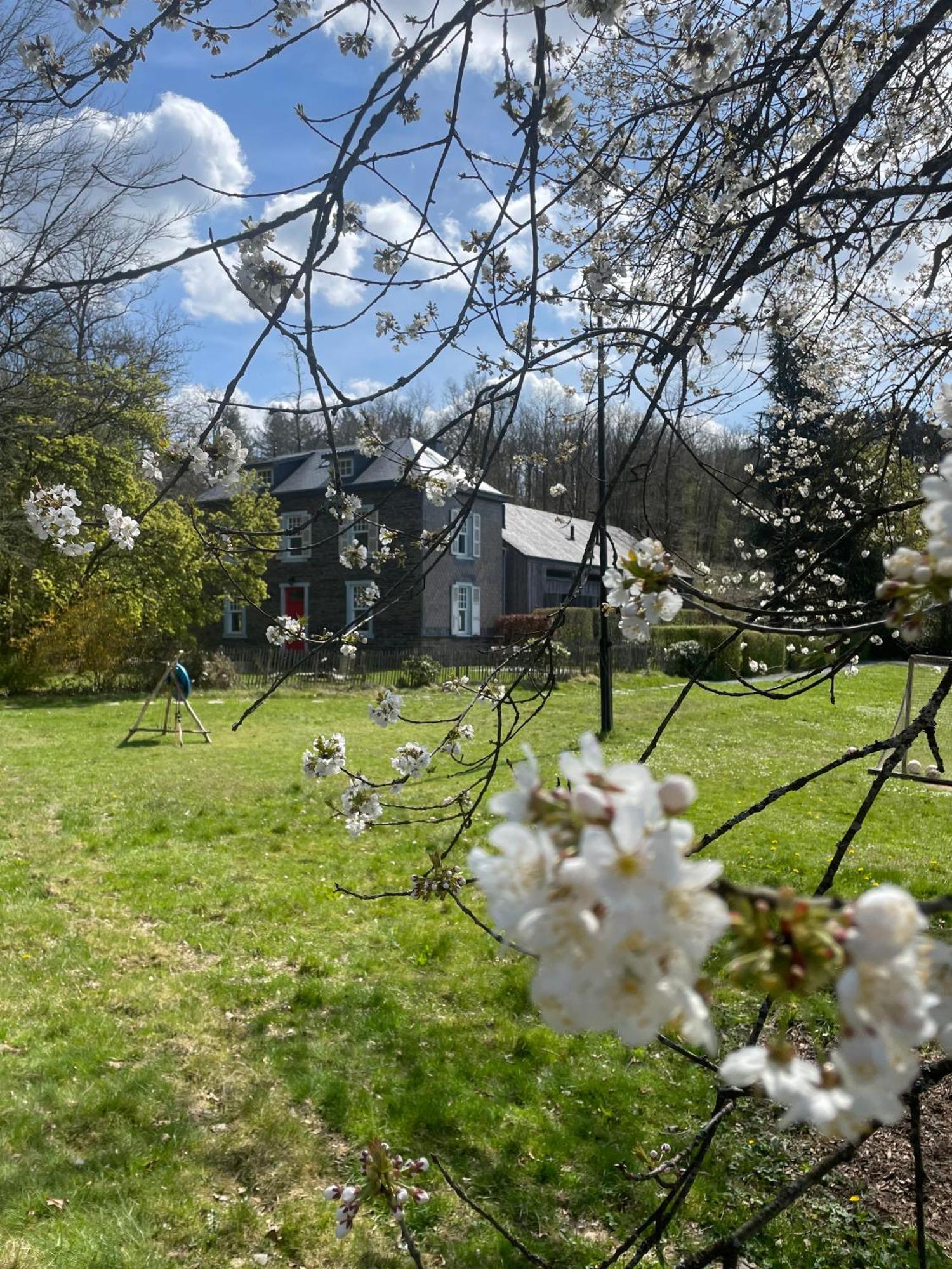 Вилла Domaine De L'Ardoisiere Але Экстерьер фото